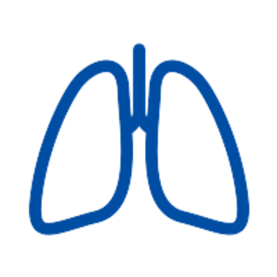 Zeichnung der Lunge: Welche Symptome der Atemwege gibt es bei Allergien?